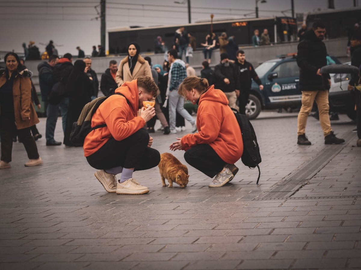 pexels-sametcolakoglu-15817660