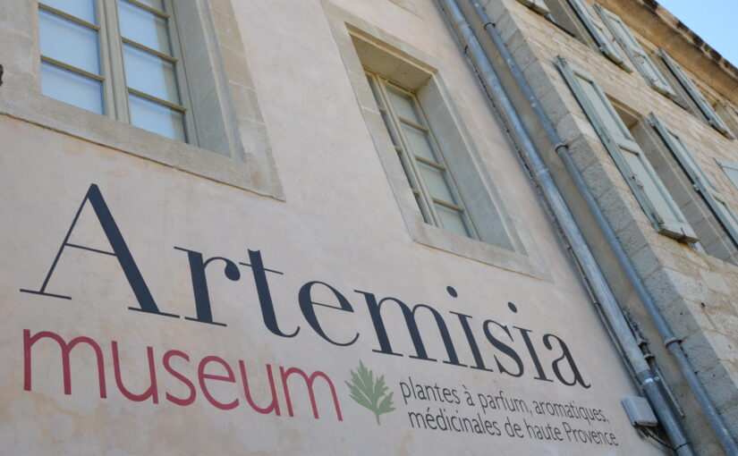 Artemisia Museum in Forcalquier: Where Nature, Scent, and Heritage Intertwine